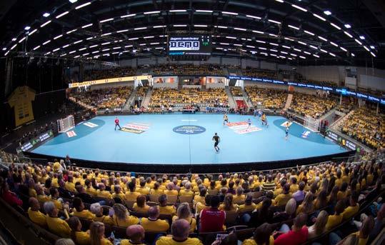 VÄLKOMMEN SOM PARTNER! Sävehof har 1300 ungdomar som leds av 230 ledare. Flickor och pojkar (från 7 år), damer och herrar. En unik mix av bredd och elit.