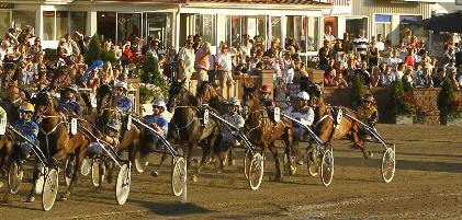 Fyra V75-segrar till Dalarna i år!