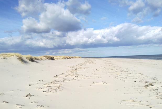 Alestenar Ystad Foto: Bernard Grilly Dag 2 Ystad Kåseberga Den första dagens vandring startar med att du lämnar Ystad via hamnen och vidare utmed strandpromenaden genom Sandskogen.