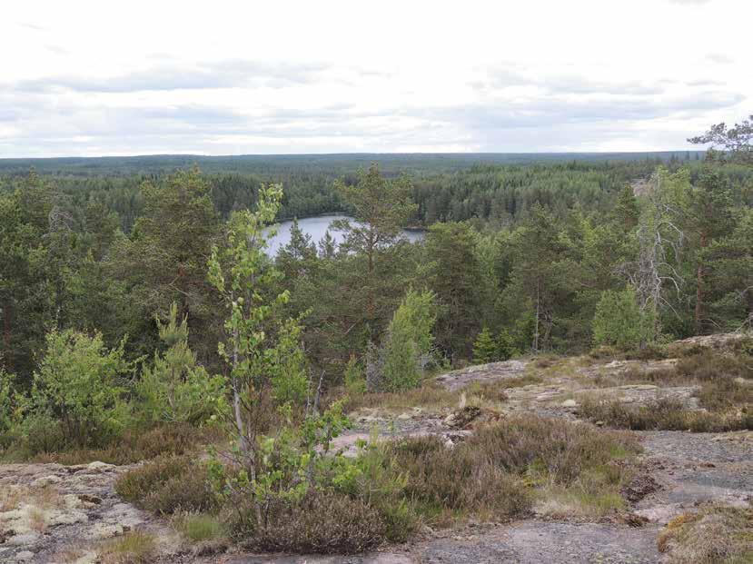 12 Skogsbruksplanering och fastighetsvärdering Text: Ulla Inkeroinen Upprättandet av en skogsbruksplan börjar med att skogsägaren tar kontakt med skogsvårdsföreningen och beställer en skogsbruksplan.