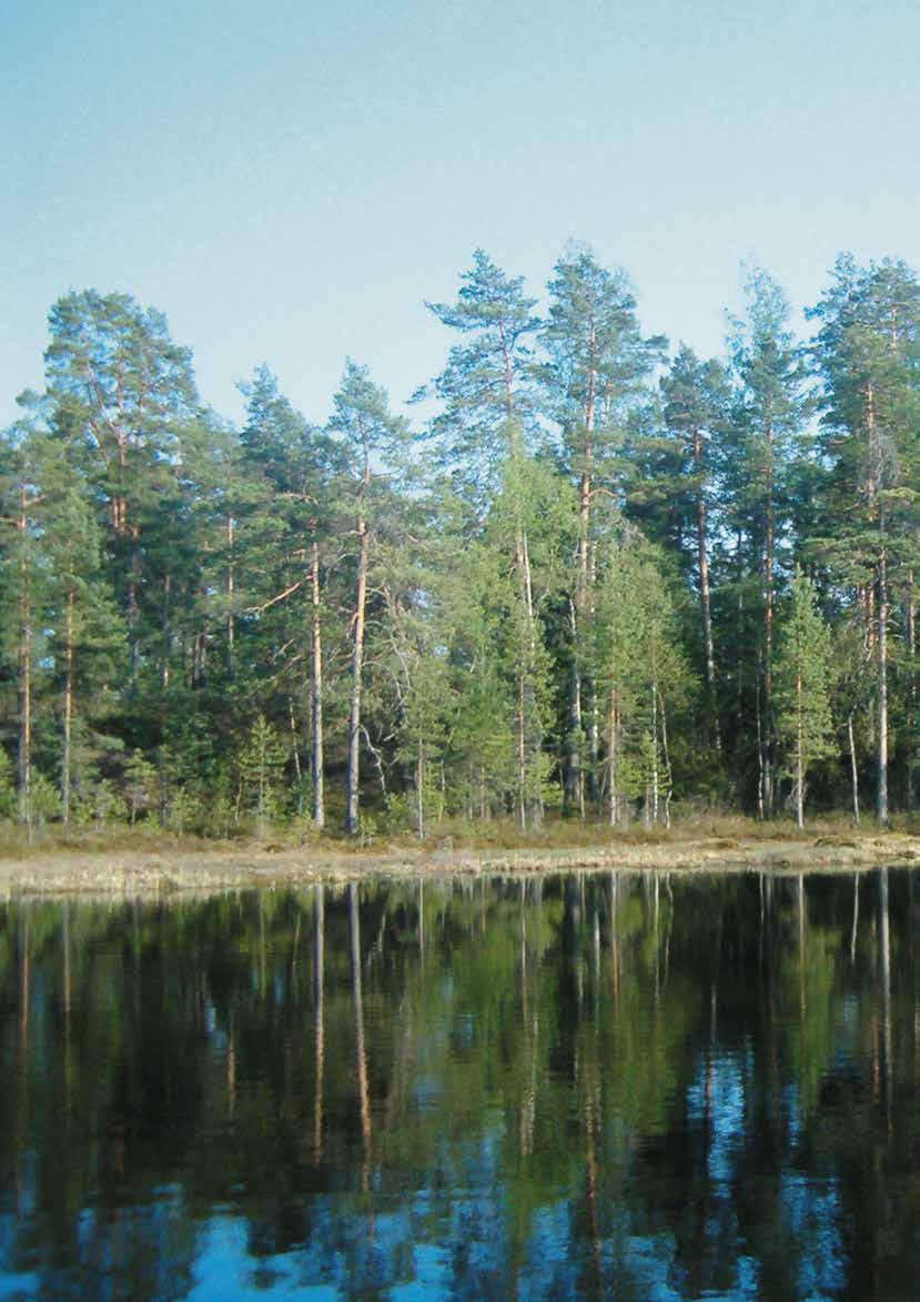 3 Ledare: Otto von Frenckell Allemansrätten i skogen Finländarnas förhållande till skogen kännetecknas av att verka för naturens bästa och att få vara sig själv då man vistas i skogen.