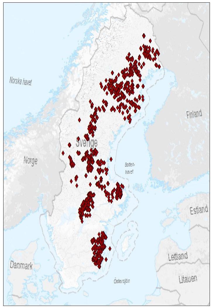 Figur 1. Utbredning av de 2 000 prognosytor som användes för utbytesprognoser i föryngringsavverkning. ( Lantmäteriet) Figur 2.