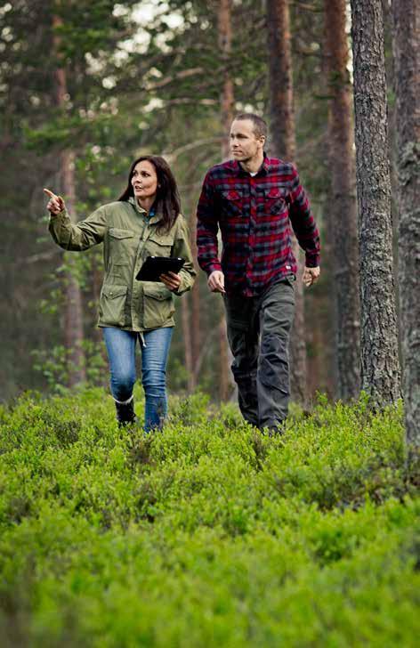 Ju bättre en skog sköts, desto värdefullare blir den.