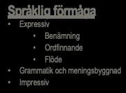 Social kognition Uppfattande av känslor Mentaliseringsförmåga Insikt Perceptuell-motorisk