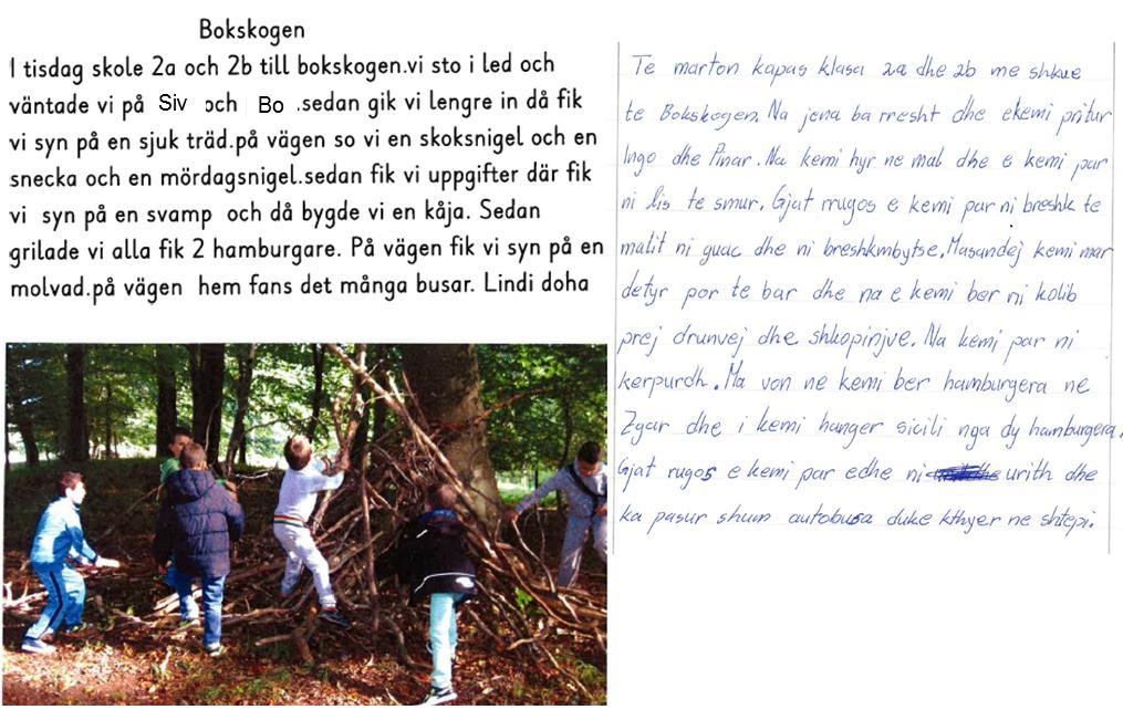 Figur 1. Edins text om bokskogen I skogen får eleverna gemensamma upplevelser som de samtalar om. Läraren undervisar om växter och djur, och tillsammans sätter de ord på företeelser och objekt.