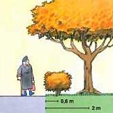 Den fria höjden som krävs är: över gångbana, minst 2,5 meter över cykelväg, minst 3,2 meter över körbana, minst 4,6 meter Grenar som hänger längre ned över