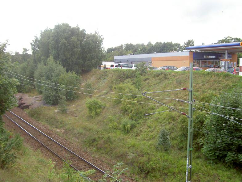 En annan typ av mark som kan vara värdefull för kustbandbi är sydvända slänter vid järnvägen.