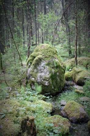 omgivande