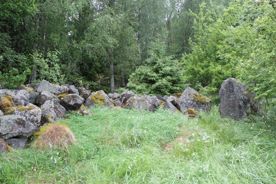 delen av skogen