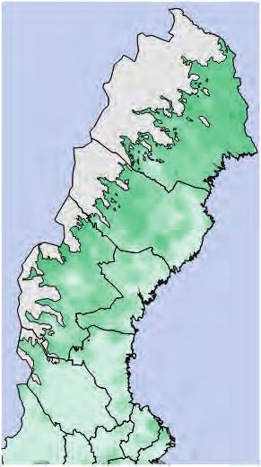 skogsmark 0-5 Preliminära analyser från