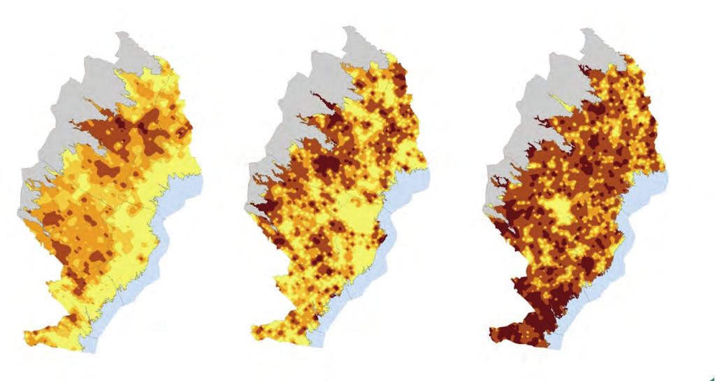 Mer hård död ved Antal döda träd per ha lämpliga till brännved (hård död ved) >15 cm DBH 1923 29 1953 57 2003 07