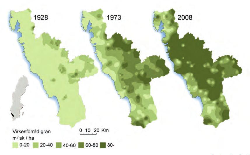 Temporal and spatial variation of large