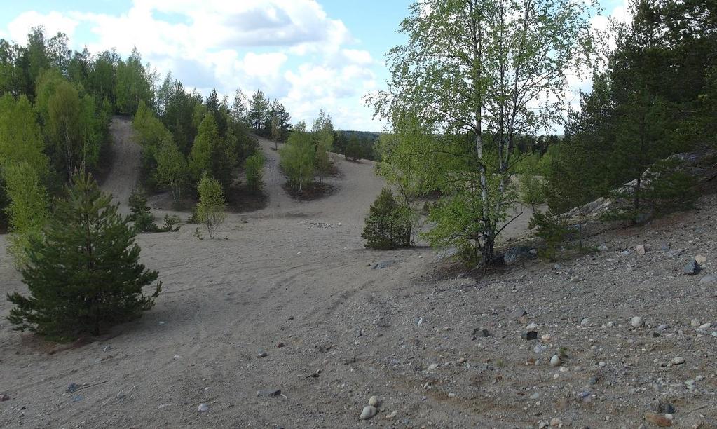 ADOXA Naturvård org.nr.
