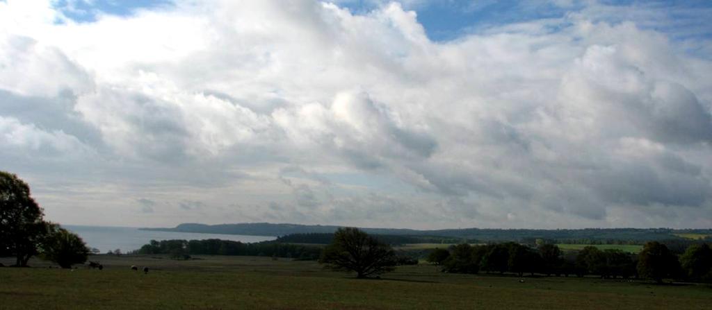 Remissvar avseende reviderat förslag, 2012-07-19, till Förslag till skötselplan för det planerade naturreservatet Haväng och Vitemölla strandbackar i Simrishamns kommun, inklusive bilagor. Haväng..sedan flera tusen år ett arkadiskt landskap.