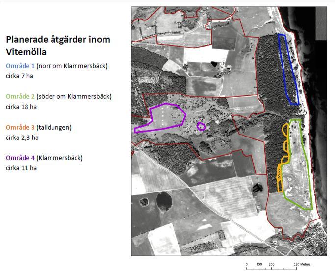Bilaga 1: Del av presentation för; SandLIFE,Restoring habitats on sandy soils in
