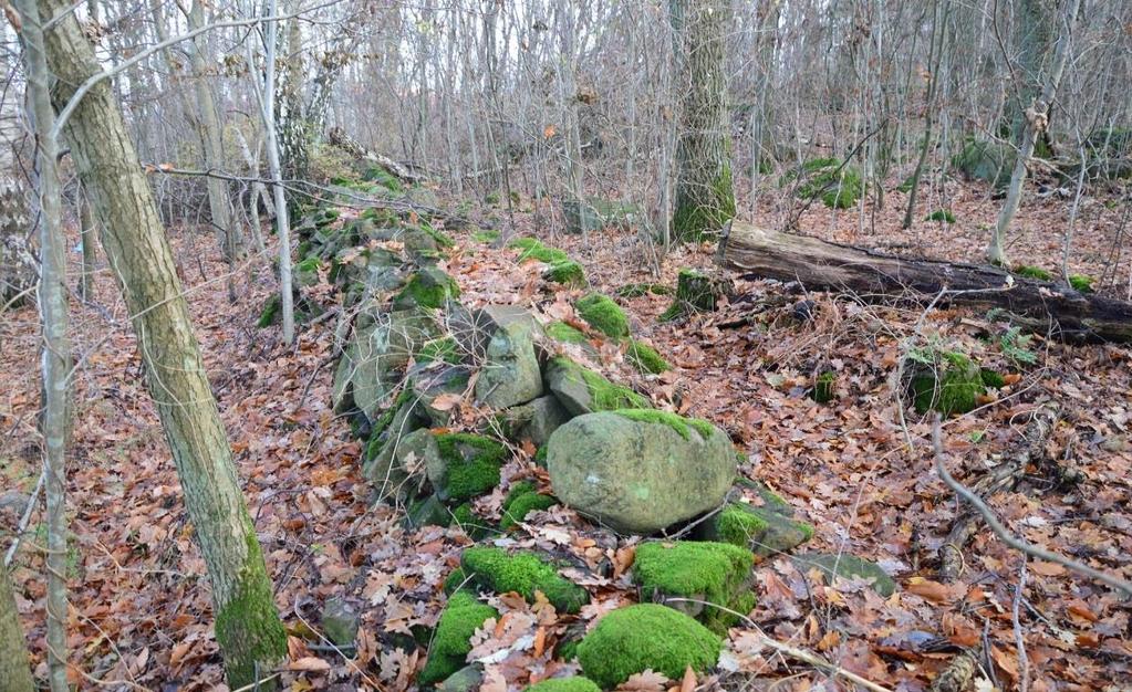 Stenmurar noterades i naturvärdesobjekt 2 och 3, men faller inte inom ramen för det generella biotopskyddet då de inte är belägen inom eller i direkt anslutning till jordbruksmark.