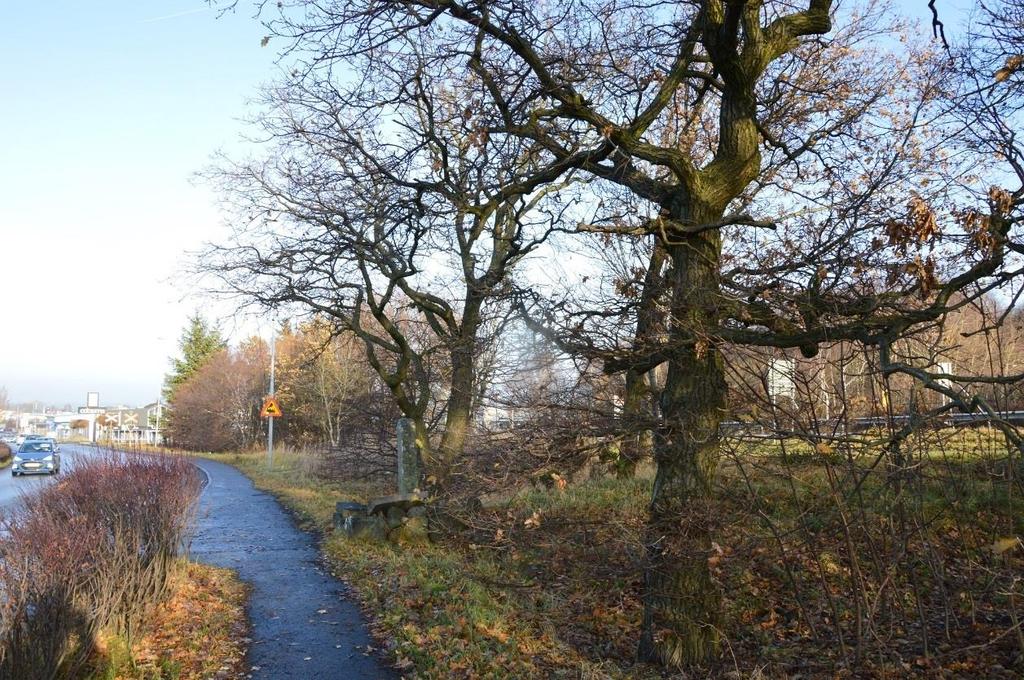 1. Skog och träd Naturvärdesklass: 4 Naturvårdsarter: - Objektet är litet till ytan (0,1 hektar) och utgörs av en remsa med vegetation mellan Västkustvägen och Birger Svenssons väg i den västligaste