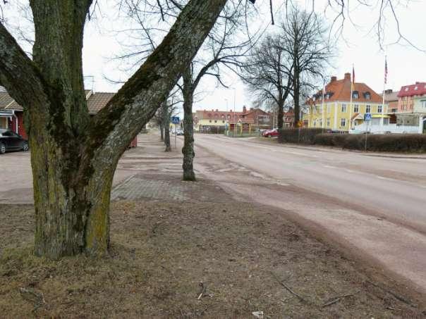Naturvärdesinventering för detaljplan för Genomfart