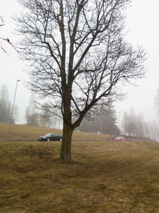 Bild 7.
