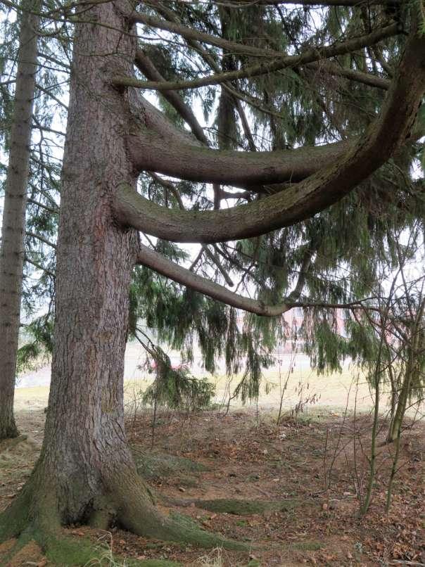 Bild 15.
