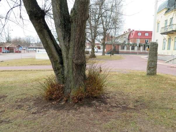 Bild 24-25.
