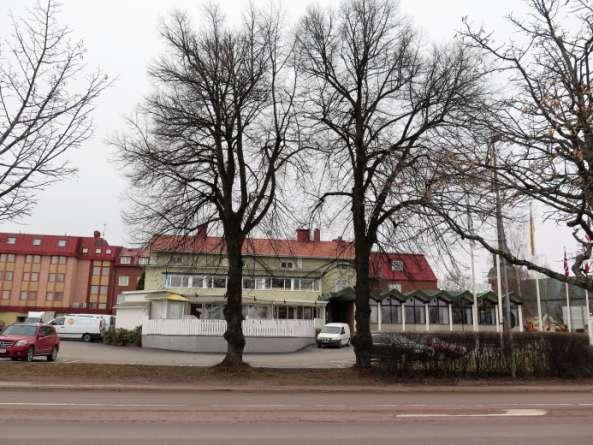 Bild 4. Mora Hotell 2017. Samma lindar som på bilden ovan. Busstationen Två arter lönnar samt två Prunus sp. står i västligaste delen av inventeringsområdet.