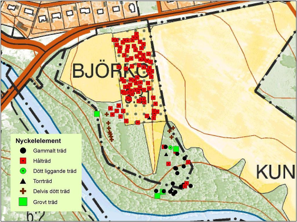 12 Naturvårdsarter Blyertslav (NT), parknål (NT), ekticka (NT), ostticka (VU), liten baronmossa, trubbfjädermossa (riklig), krushättemossa, skriftlav (riklig), gulpudrad spiklav, grå punktlav, grå