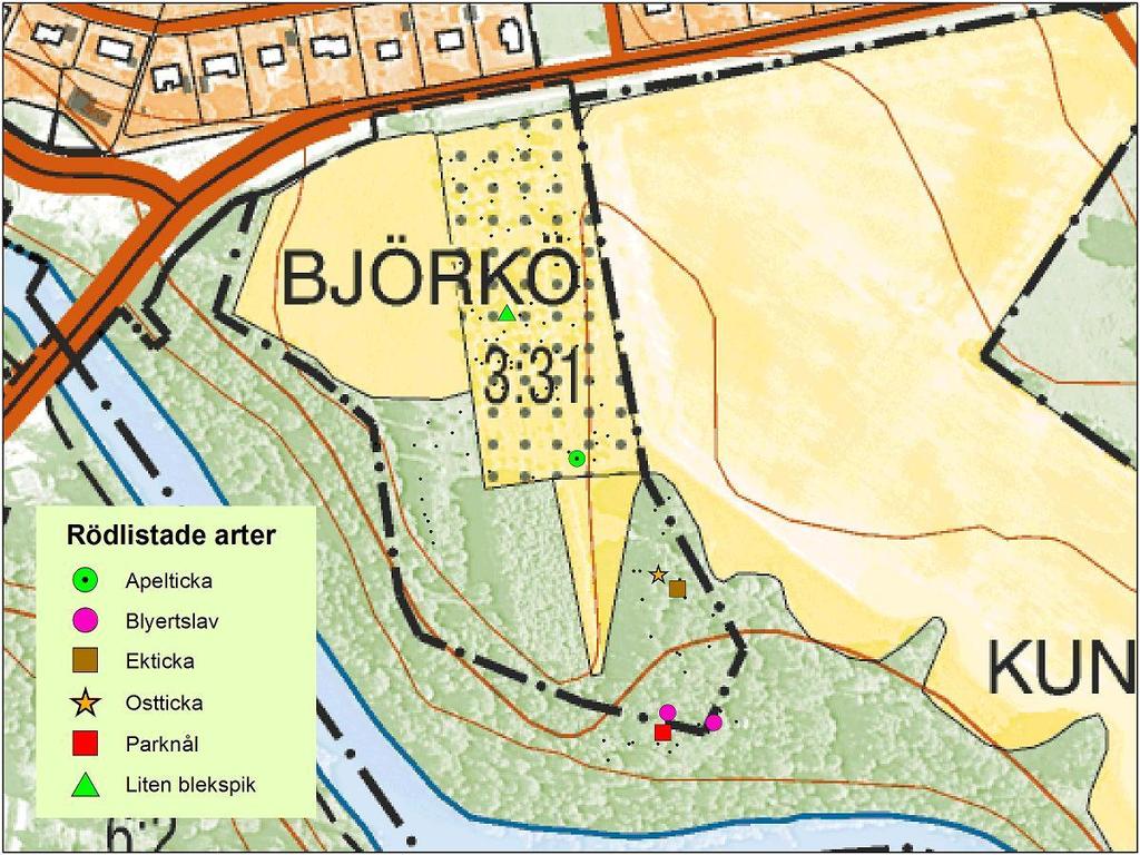 Arten hotas av att hagmarker och parker växer igen i allt högre grad samt av att gamla innanmurkna träd tas bort i parker och trädgårdar.