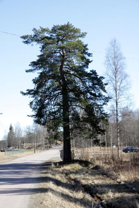 efter ån.