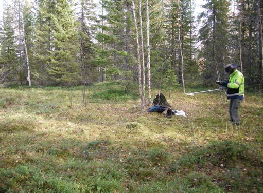 Raä 443:1, Rengärde Foto: Mirjam Jonsson Norrbottens museum Nbm accnr 2009:101:08 Utdrag ur beskrivning ur Riksantikvarieämbetets FMIS: Lämningstyp: Rengärde Antikv. bedömn.