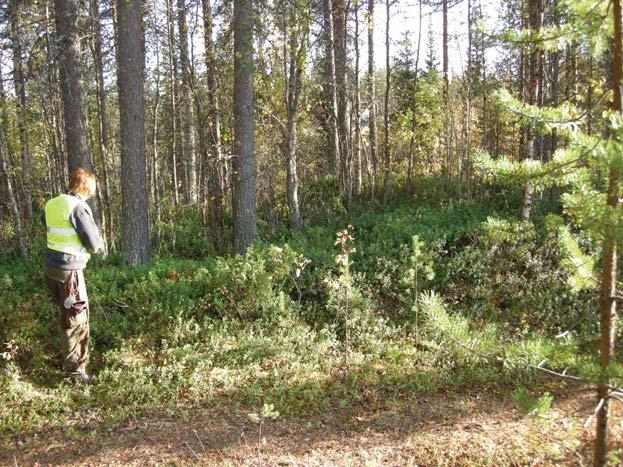 Beskrivning av lämningar Nyupptäckt: Nr 1, Tjärdal Foto: Olof Östlund Norrbottens museum. Nbm accnr 2009:101:18 Lämningstyp: Typ: Antikv. bedömn.