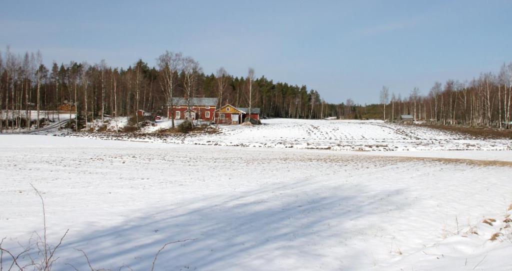 Vyn mot havet skyms av det höga trädbeståndet vid stranden.