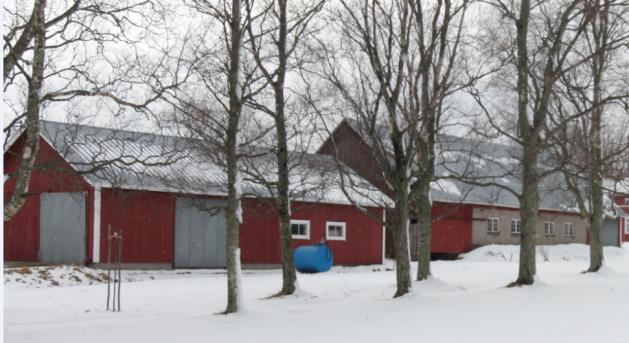 En bastubyggnad och två