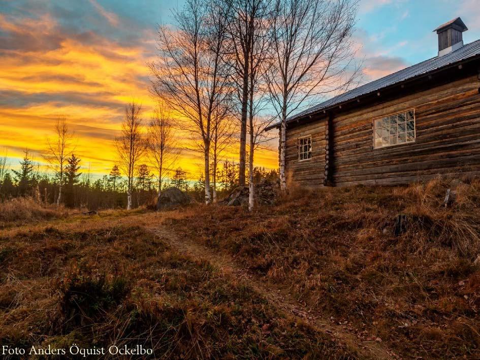 Skogsfinska gårdar och hus på 1600-talet Av Stig Welinder, Bingsjö Hur skogsfinska gårdar och byggnader såg ut på 1600-talet är närmast okänt.