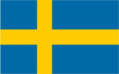 Flerspråkighet som