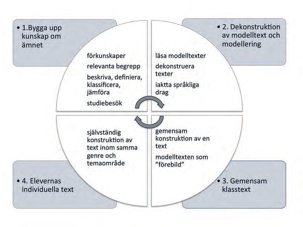 Cirkelmodellen SFL + kontrastiv/ jämförande grammatik Formativ bedömning