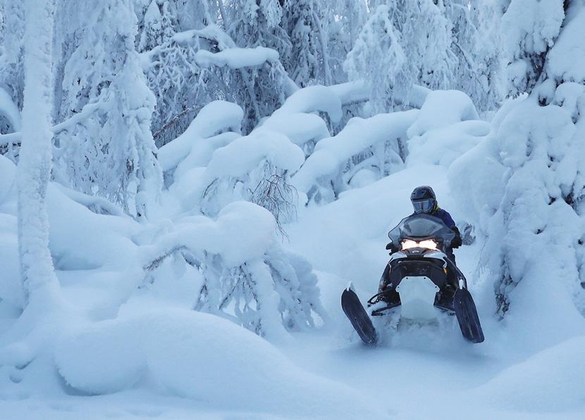 xterrain Xterrain RE 3900 850 E-TEC visas på bilden.
