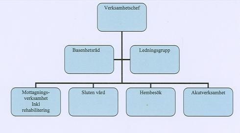Organisation/Kompetens