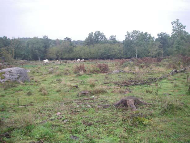 Vägsträckningen för alternativ Mitt följer från Lösen till Ramdala Ö. Blekinge järnvägs tidigare sträckning. Sträckningen går till stor del över odlingsmark.