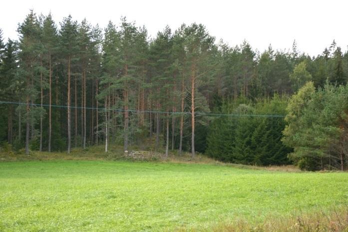 Se bifogad skogsbruksplan och karta.