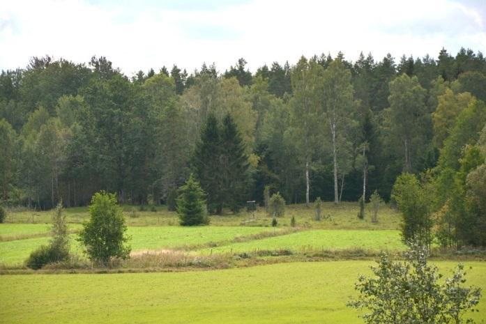 Säljaren svarar ej för ytterligare uppmarkering av dessa.