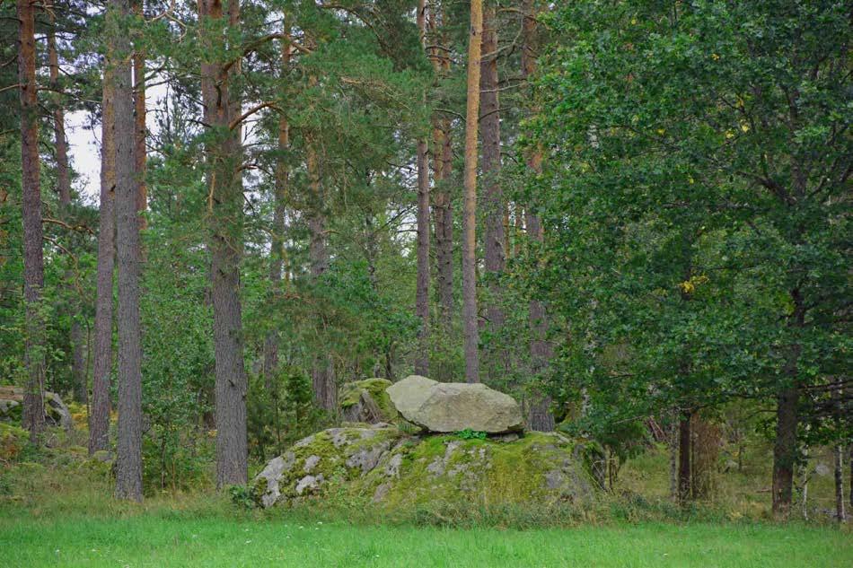 Hultsfred Kängsebo 2:1 Om Skog & Lantbruk Skog & Lantbruk är ett rådgivningsföretag som arbetar med följande tjänster inom jord och skog: - Fastighetsförmedling - Generationsskifte -