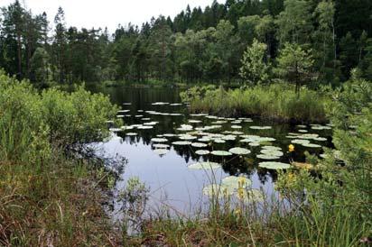 Naturvärdesinventering Landvetter södra, Härryda kommun, 2017 PROJEKT: FÖRDJUPAD ÖVERSIKTSPLAN FÖR LANDVETTER