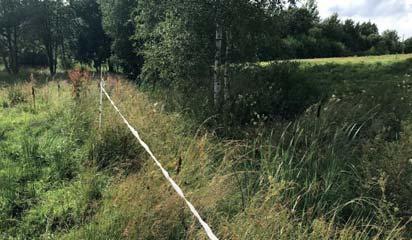 biotopskyddet. Större delen av det lokaliserade diket ligger utanför inventeringsområdet.