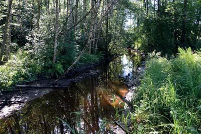 1. Vattendrag Naturvärdesklass: 3, påtagligt naturvärde Längd: 152 meter Biotopvärde: visst Artvärde: påtagligt Naturvårdsarter: elritsa Phoxinus phoxinus, öring Salmo trutta, snok Natrix natrix