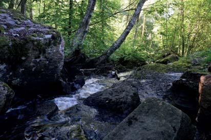 2. Vattendrag Naturvärdesklass: 2, högt naturvärde Längd: 215 meter Biotopvärde: påtagligt Artvärde: påtagligt Naturvårdsarter: elritsa Phoxinus phoxinus, öring Salmo trutta, krusig ulota Ulota