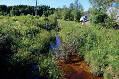 3. Vattendrag Naturvärdesklass: 3, påtagligt naturvärde Längd: 929 meter Biotopvärde: visst Artvärde: påtagligt Naturvårdsarter: elritsa Phoxinus phoxinus, öring Salmo trutta Objekt 3 utgörs av en