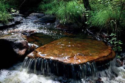 7. Vattendrag Naturvärdesklass: 1, högsta naturvärde Längd: 872 meter Biotopvärde: högt Artvärde: påtagligt Naturvårdsarter: elritsa Phoxinus phoxinus, öring Salmo trutta, västlig hakmossa