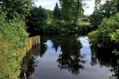 8. Vattendrag Naturvärdesklass: 3, påtagligt naturvärde Area: 0,5 hektar Biotopvärde: visst Artvärde: påtagligt Naturvårdsarter: öring Salmo trutta Naturvårdsarter från Artportalen eller förstudien:
