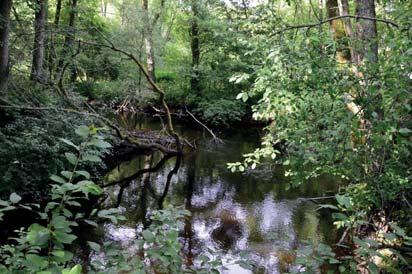 9. Vattendrag Naturvärdesklass: 2, högt naturvärde Area: 1,4 hektar Biotopvärde: högt Artvärde: påtagligt Naturvårdsarter: öring Salmo trutta Naturvårdsarter från Artportalen eller förstudien: smal